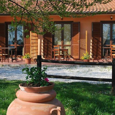 Erba Di Campo Residence Quercianella Bagian luar foto