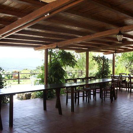 Erba Di Campo Residence Quercianella Bagian luar foto